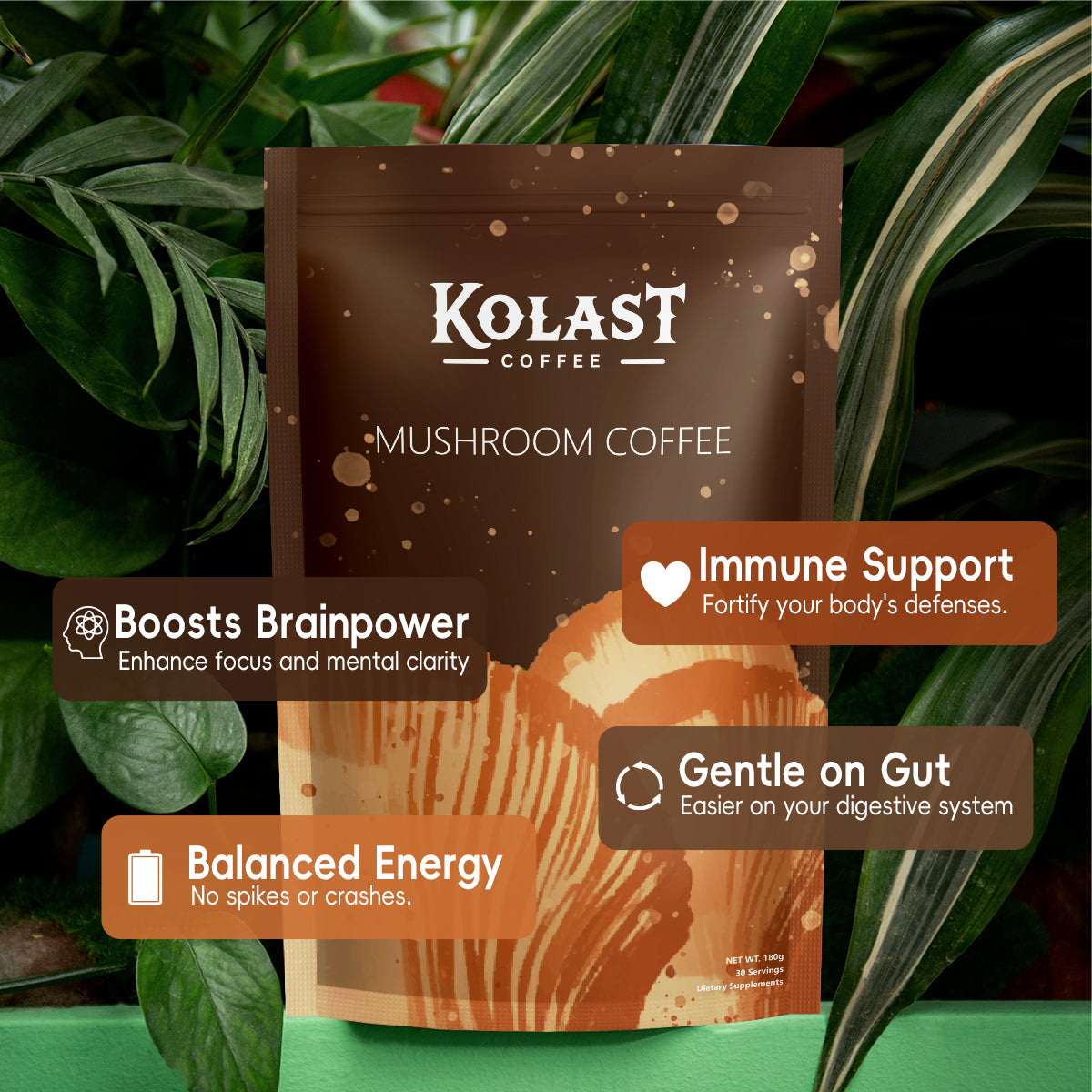 Kolast Mushroom Coffee